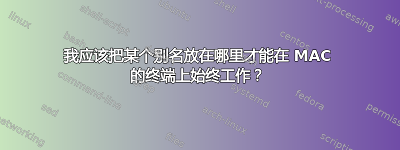 我应该把某个别名放在哪里才能在 MAC 的终端上始终工作？