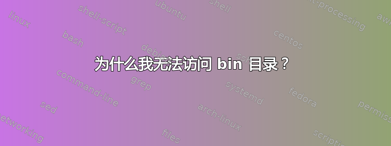 为什么我无法访问 bin 目录？