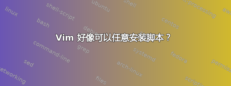 Vim 好像可以任意安装脚本？