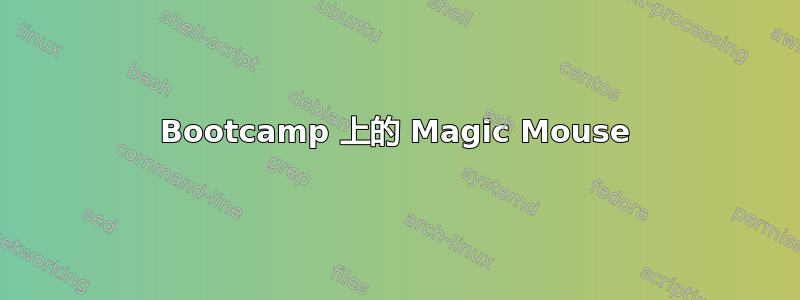 Bootcamp 上的 Magic Mouse