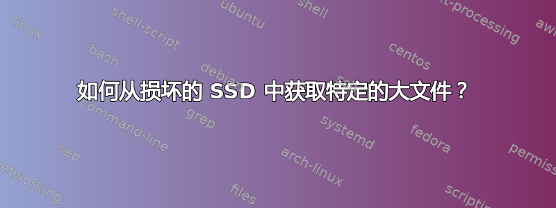 如何从损坏的 SSD 中获取特定的大文件？