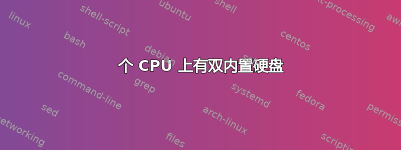 1 个 CPU 上有双内置硬盘