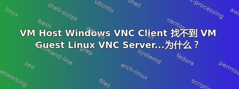 VM Host Windows VNC Client 找不到 VM Guest Linux VNC Server...为什么？