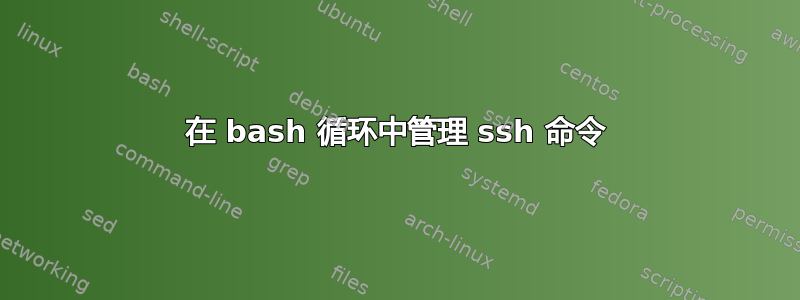 在 bash 循环中管理 ssh 命令