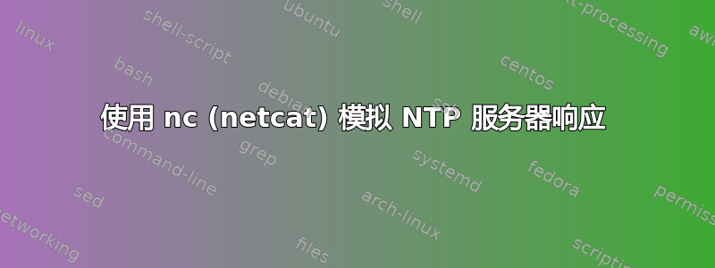 使用 nc (netcat) 模拟 NTP 服务器响应