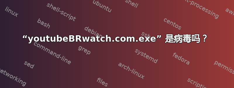 “youtubeBRwatch.com.exe” 是病毒吗？