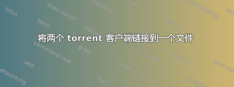 将两个 torrent 客户端链接到一个文件