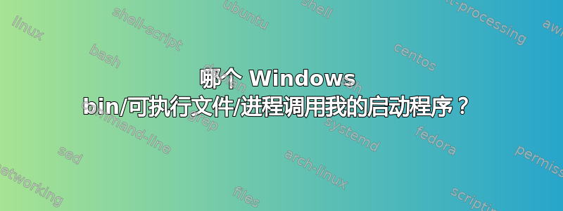 哪个 Windows bin/可执行文件/进程调用我的启动程序？