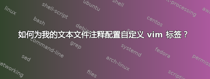 如何为我的文本文件注释配置自定义 vim 标签？