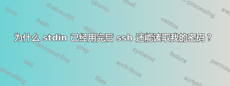 为什么 stdin 已经用完后 ssh 还能读取我的密码？