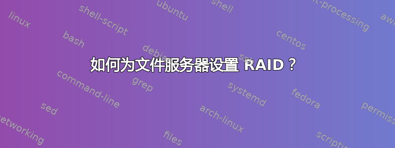 如何为文件服务器设置 RAID？