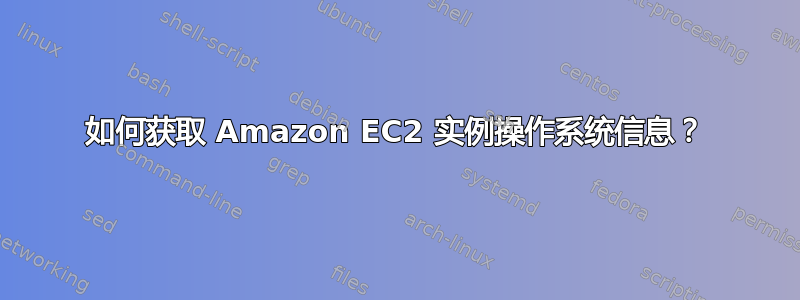 如何获取 Amazon EC2 实例操作系统信息？