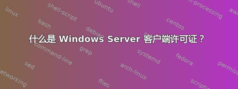 什么是 Windows Server 客户端许可证？