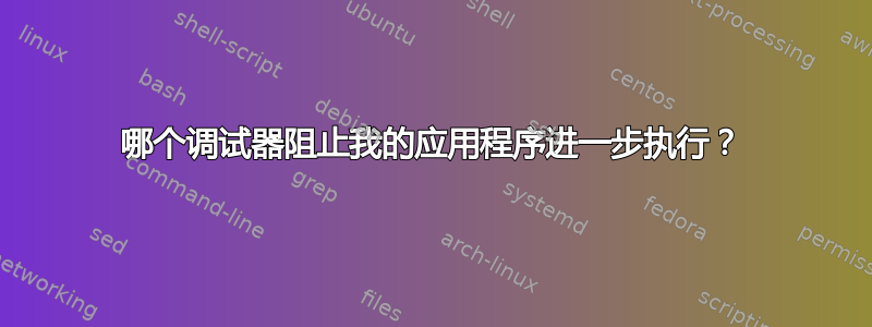 哪个调试器阻止我的应用程序进一步执行？