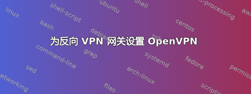 为反向 VPN 网关设置 OpenVPN