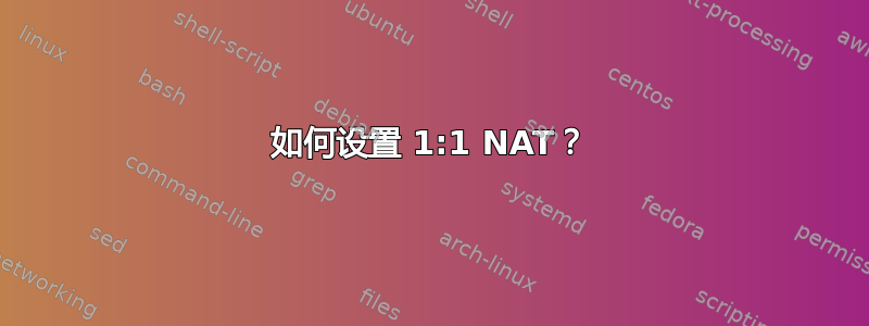 如何设置 1:1 NAT？