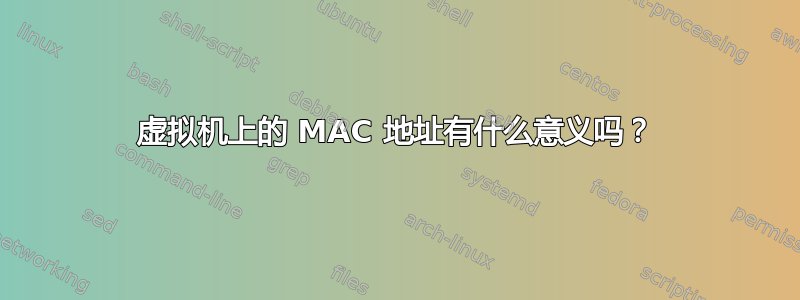 虚拟机上的 MAC 地址有什么意义吗？