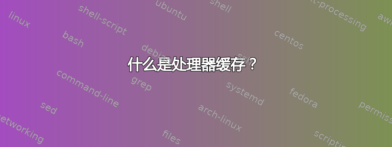 什么是处理器缓存？