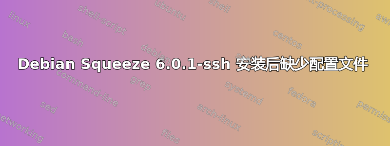 Debian Squeeze 6.0.1-ssh 安装后缺少配置文件