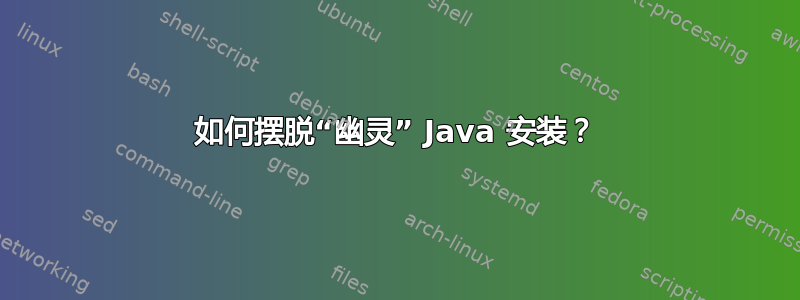 如何摆脱“幽灵” Java 安装？