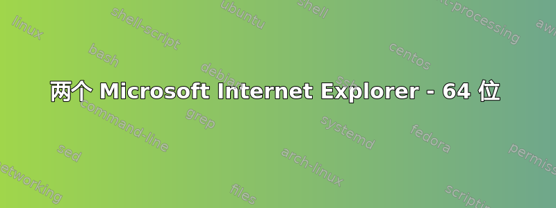 两个 Microsoft Internet Explorer - 64 位