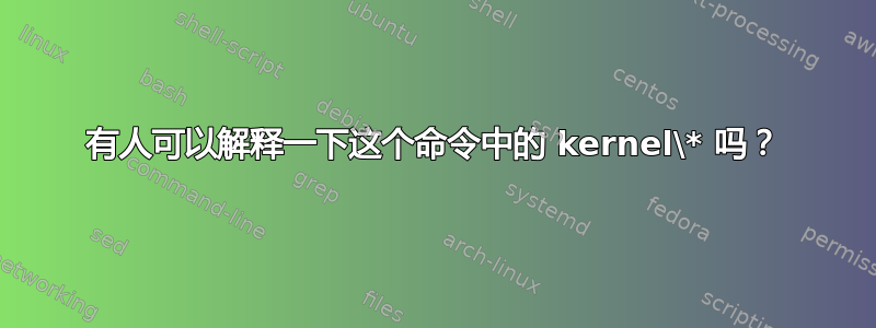 有人可以解释一下这个命令中的 kernel\* 吗？