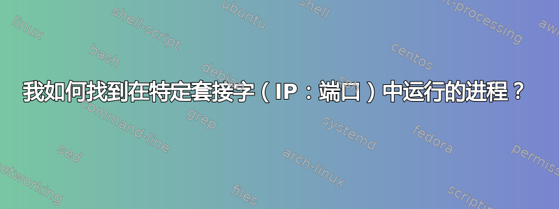 我如何找到在特定套接字（IP：端口）中运行的进程？