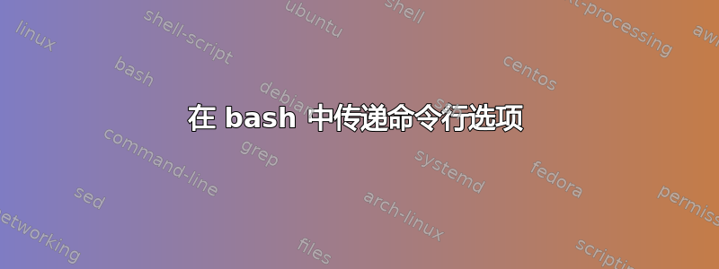 在 bash 中传递命令行选项