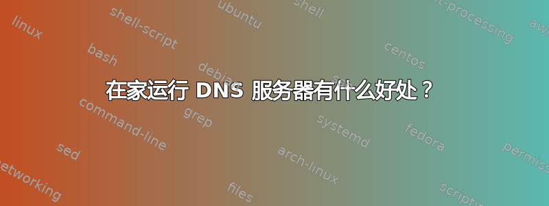 在家运行 DNS 服务器有什么好处？