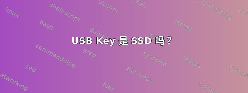 USB Key 是 SSD 吗？