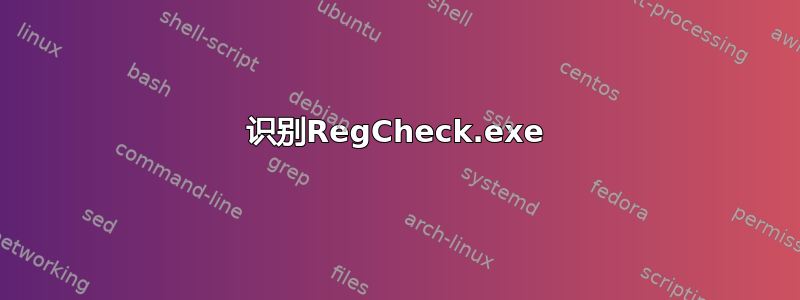 识别RegCheck.exe