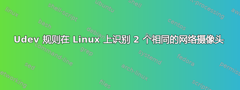 Udev 规则在 Linux 上识别 2 个相同的网络摄像头