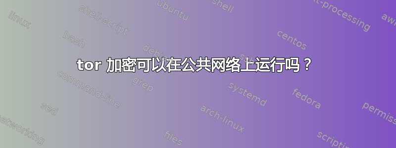 tor 加密可以在公共网络上运行吗？