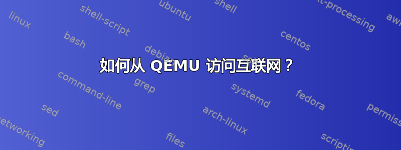 如何从 QEMU 访问互联网？