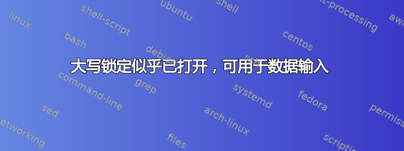 大写锁定似乎已打开，可用于数据输入