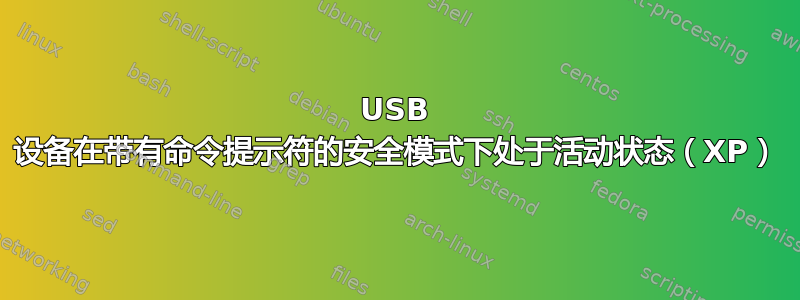 USB 设备在带有命令提示符的安全模式下处于活动状态（XP）