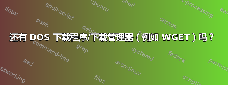 还有 DOS 下载程序/下载管理器（例如 WGET）吗？