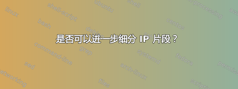 是否可以进一步细分 IP 片段？