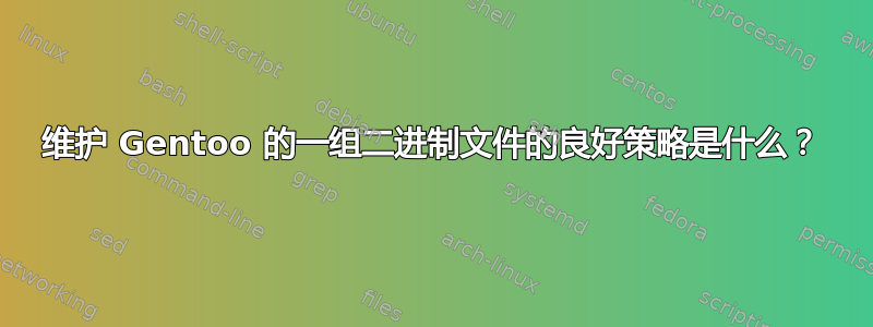 维护 Gentoo 的一组二进制文件的良好策略是什么？