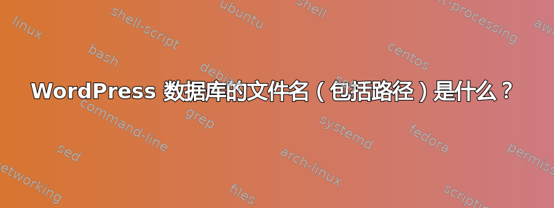 WordPress 数据库的文件名（包括路径）是什么？