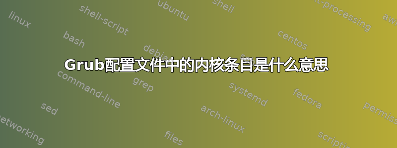 Grub配置文件中的内核条目是什么意思