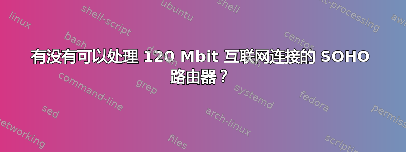 有没有可以处理 120 Mbit 互联网连接的 SOHO 路由器？