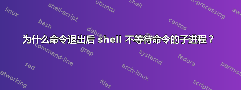 为什么命令退出后 shell 不等待命令的子进程？