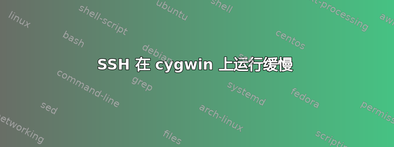 SSH 在 cygwin 上运行缓慢