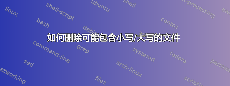 如何删除可能包含小写/大写的文件