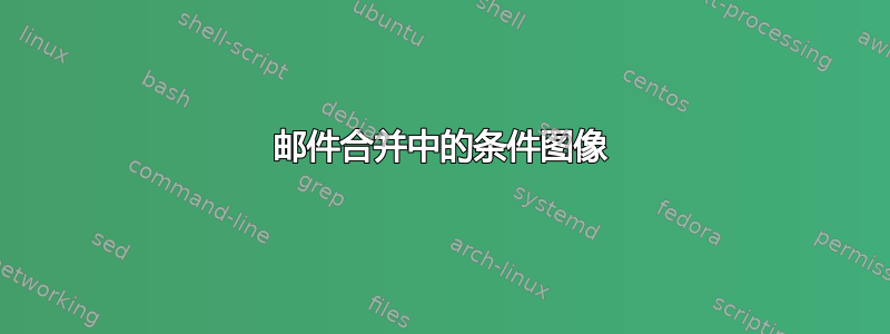 邮件合并中的条件图像