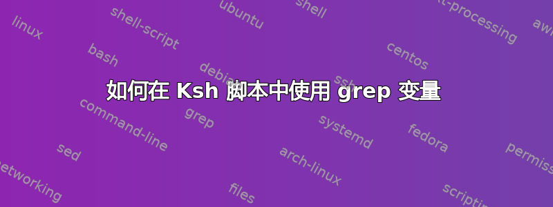 如何在 Ksh 脚本中使用 grep 变量