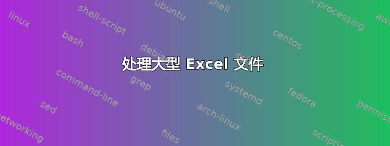 处理大型 Excel 文件