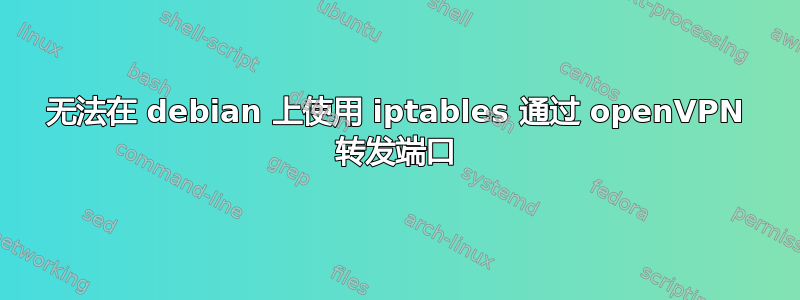 无法在 debian 上使用 iptables 通过 openVPN 转发端口