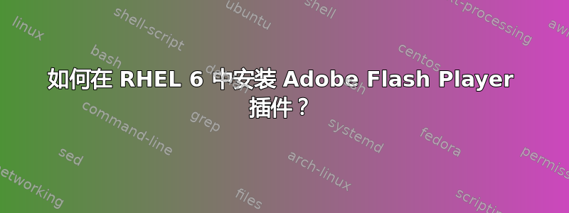 如何在 RHEL 6 中安装 Adob​​e Flash Player 插件？